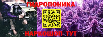 прущие грибы Шелехов