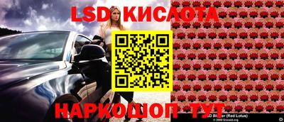 прущие грибы Шелехов