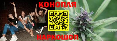 прущие грибы Шелехов