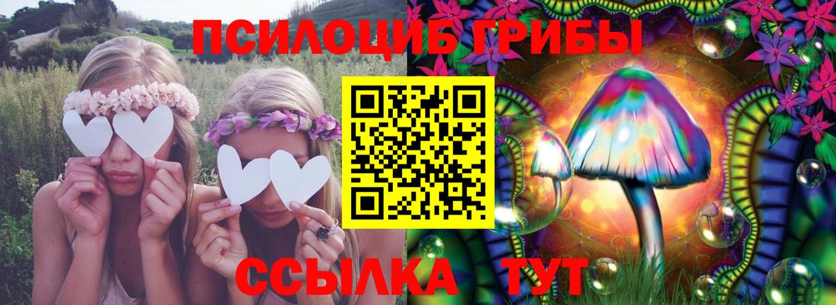 Псилоцибиновые грибы ЛСД Барнаул